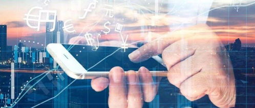 林志剛與網(wǎng)絡(luò)信息安全軟件開(kāi)發(fā)